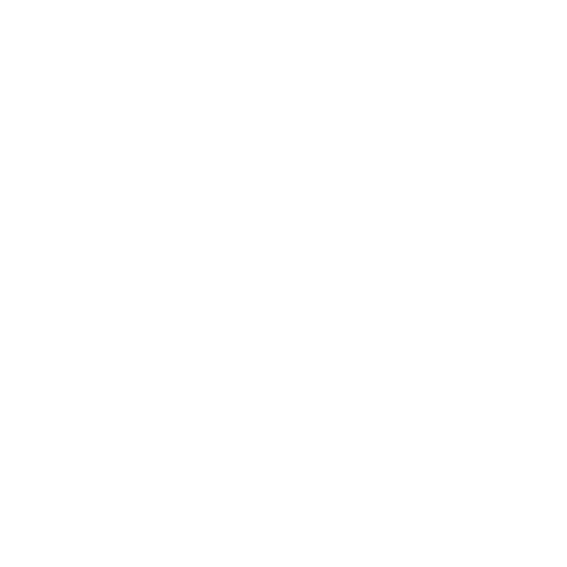 Better Women Better World